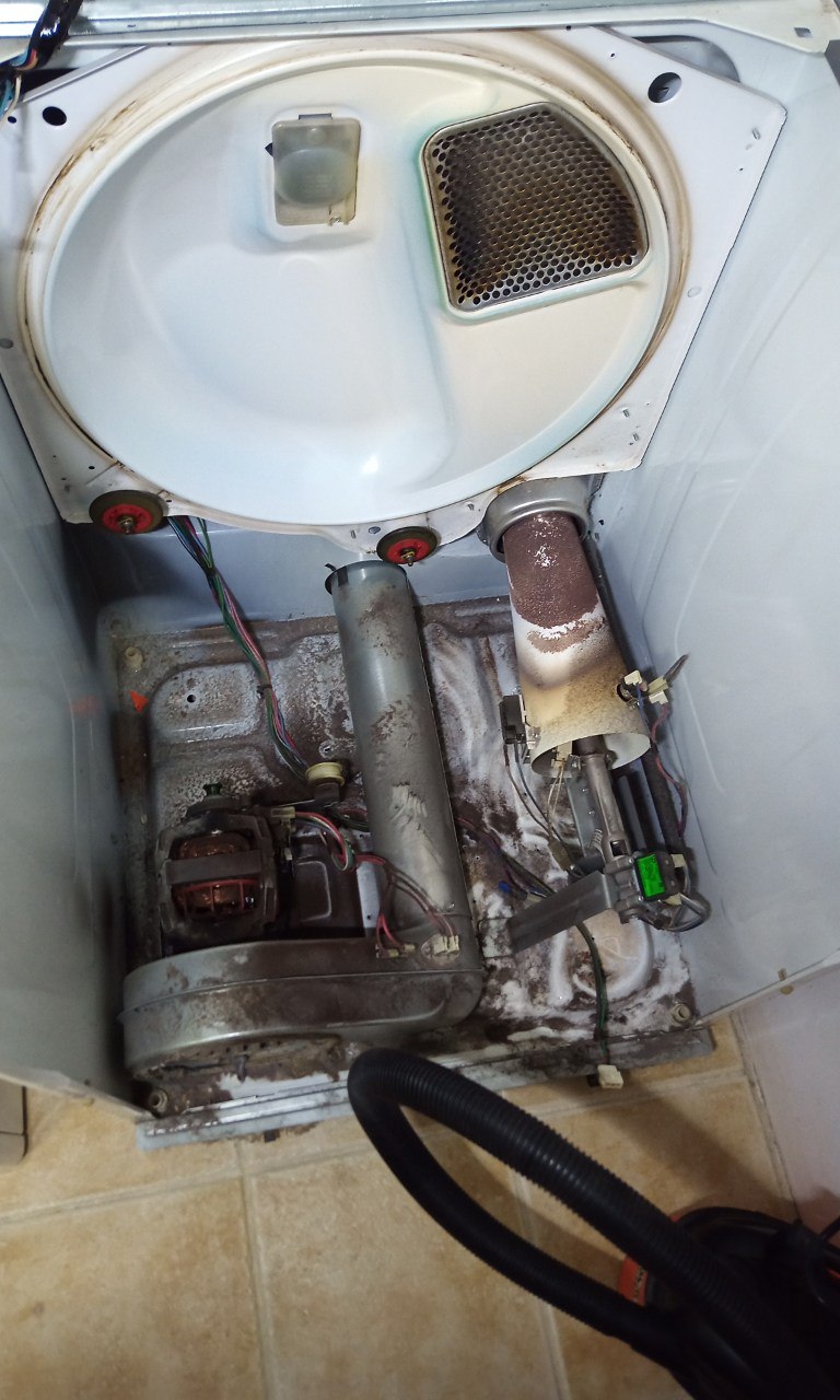 Dryer noise squeak reason