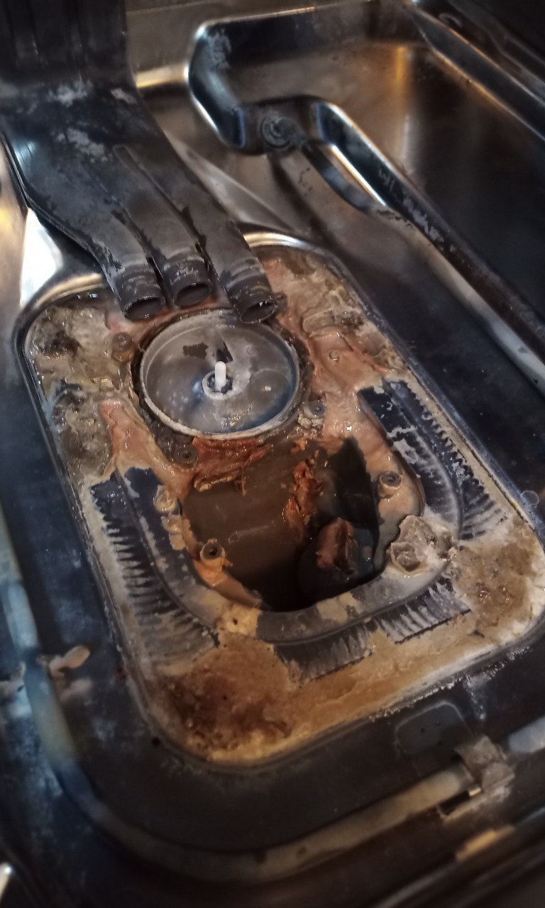 mold inside dishwasher